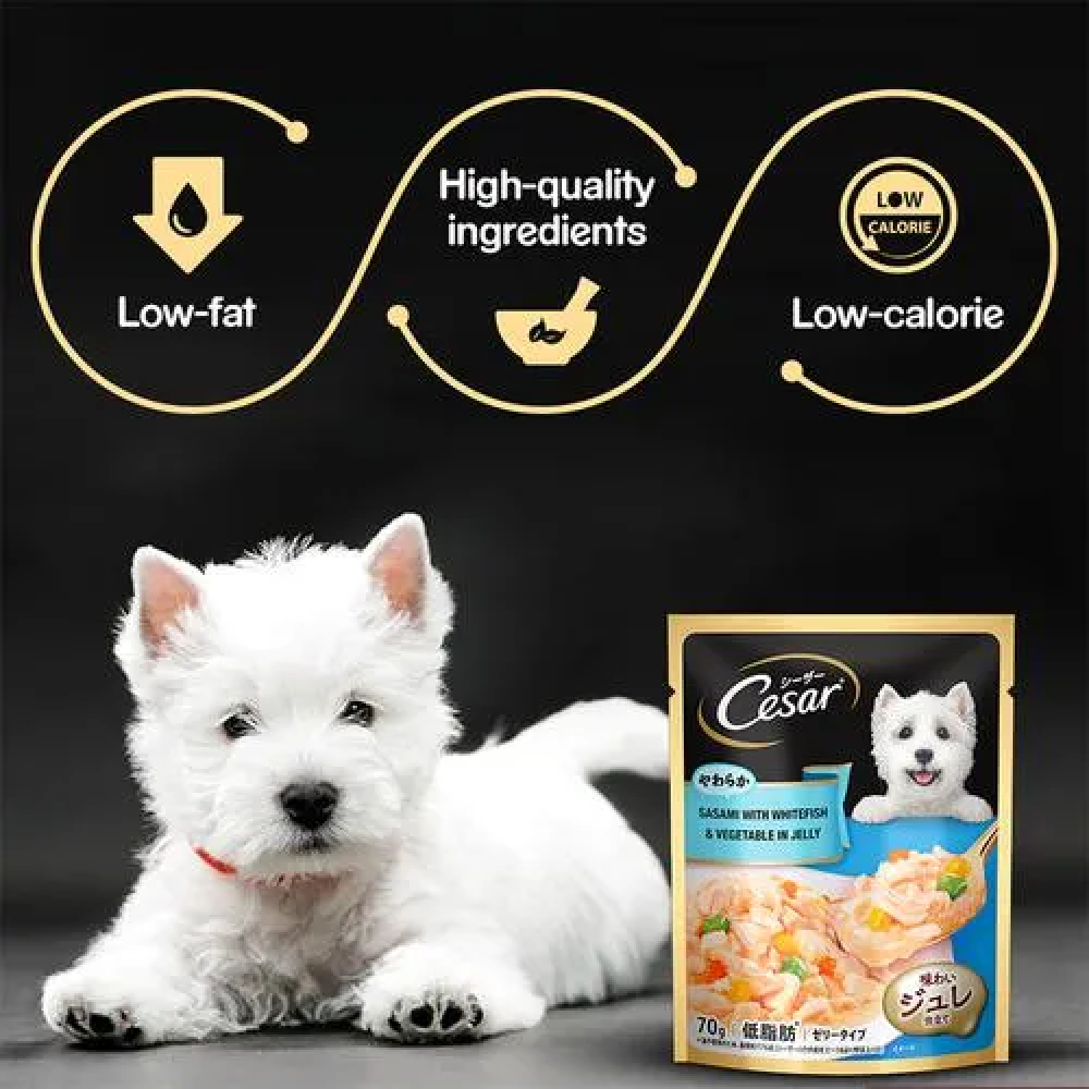 Cesar Sasami with Whitefish & Vegetable in Jelly Dog Wet Food