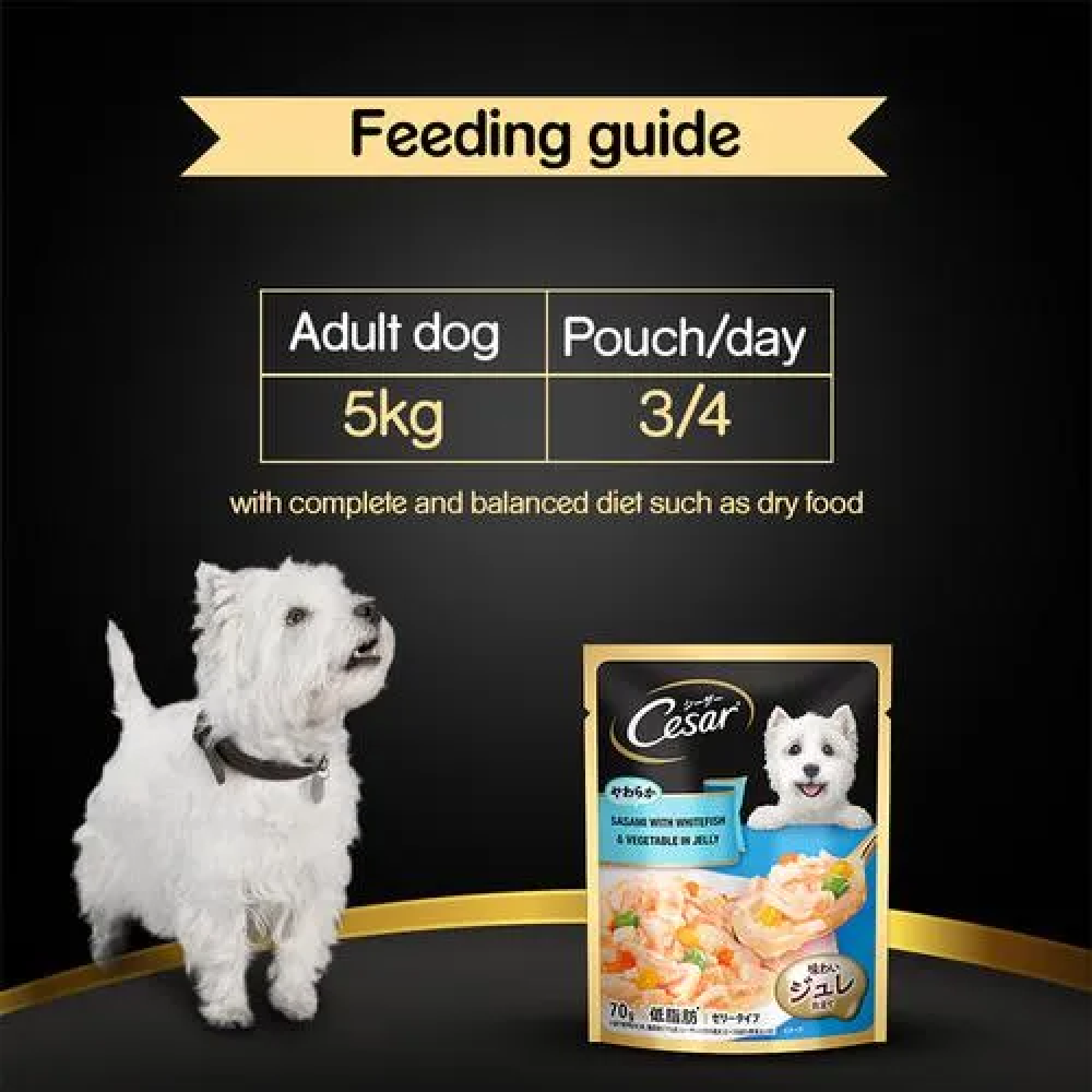 Cesar Sasami with Whitefish & Vegetable in Jelly Dog Wet Food