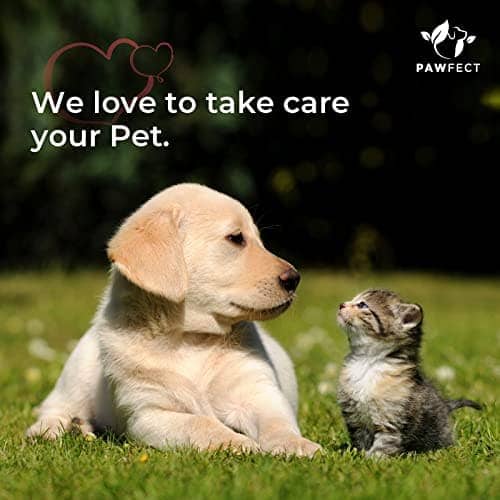 Pawfect Himalayan Cheese Chews Puff Bars Dog Treats