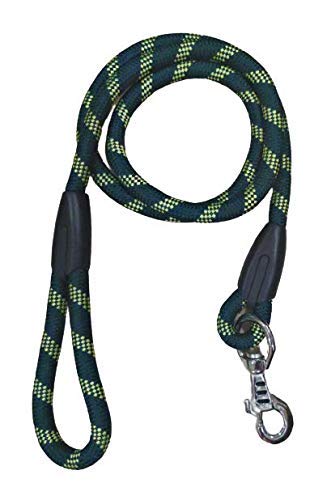 Pets Like Rope Leash for Dogs (Green)