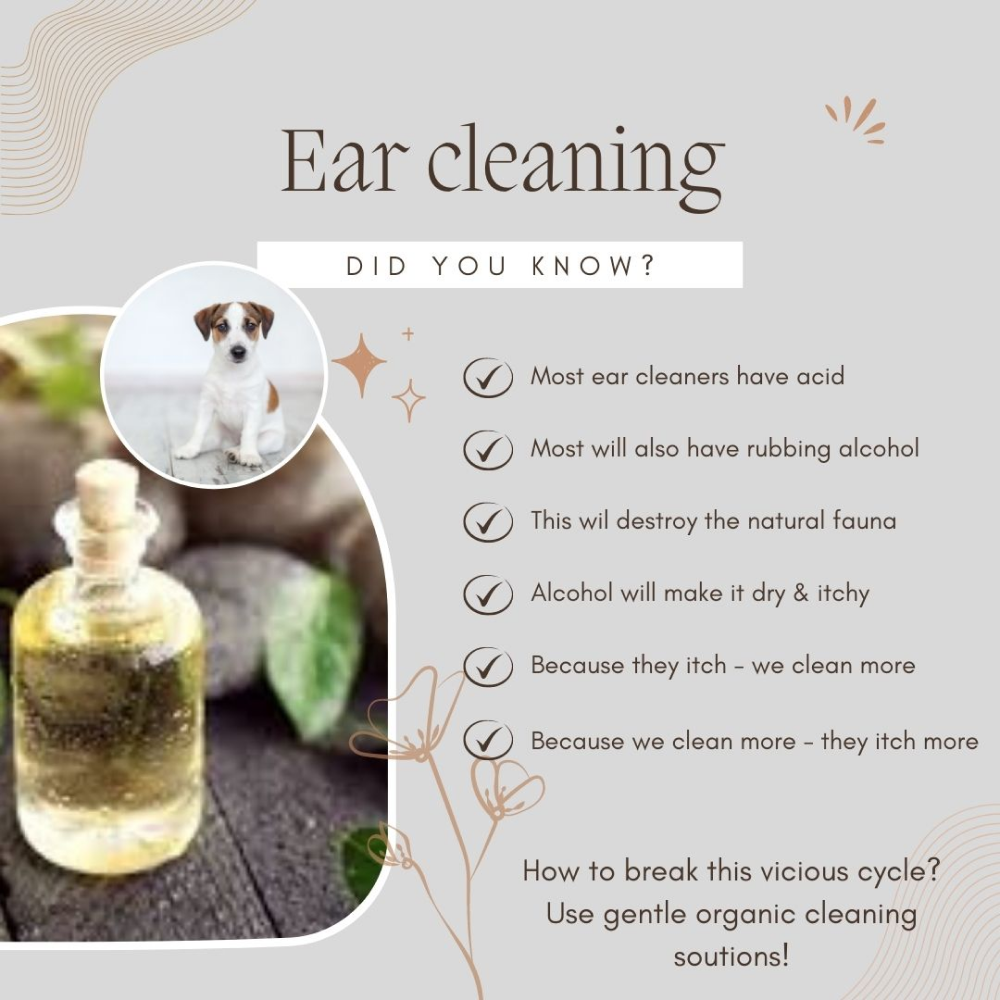 Doggielicious Healing Ear oil for Dogs