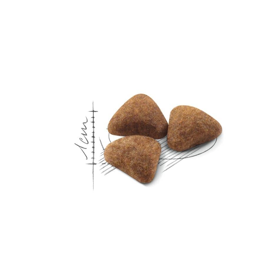 Royal Canin Indoor Adult Cat Dry Food (Sample)