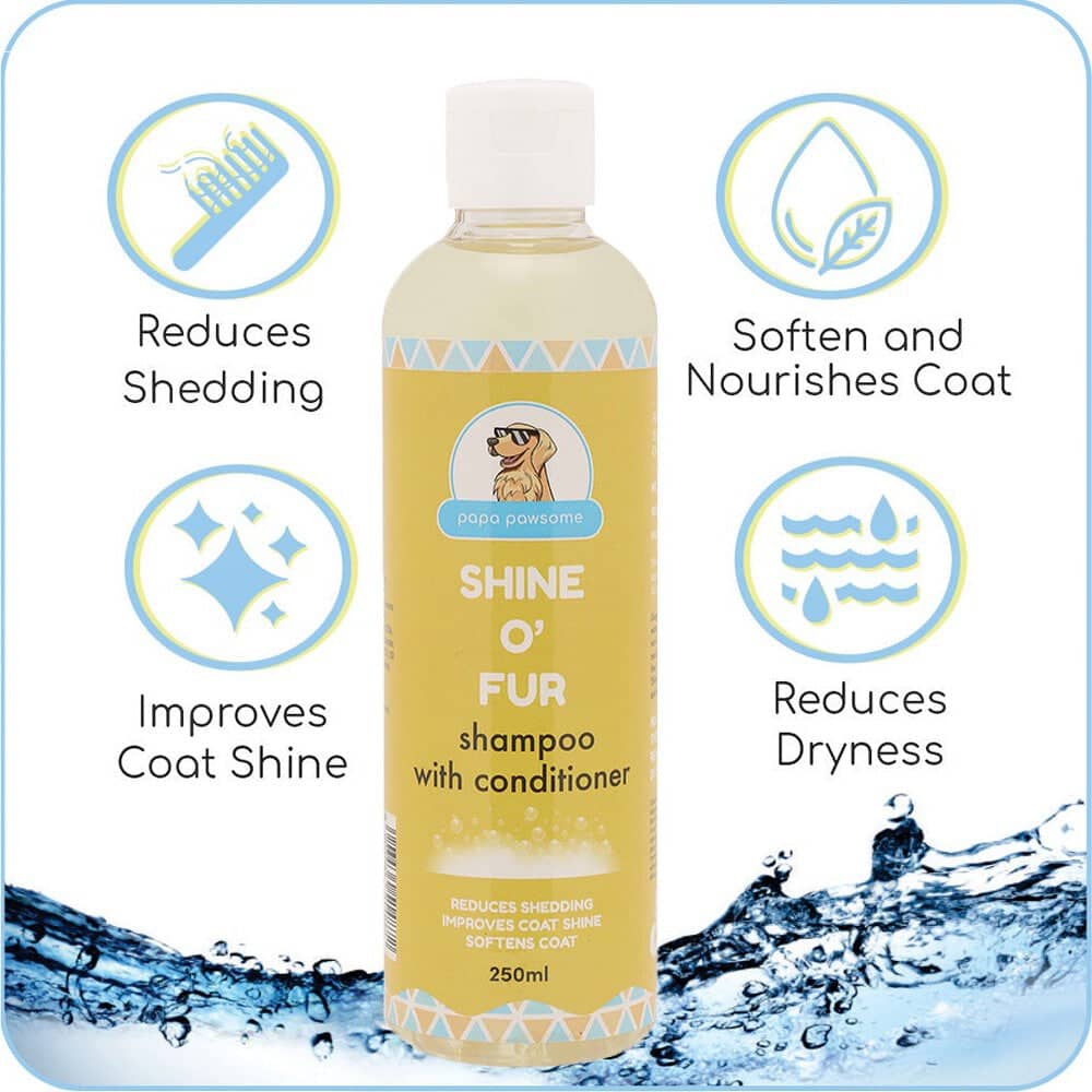 Papa Pawsome Short Smooth Coat Easy Peasy Grooming Kit (Corgi)