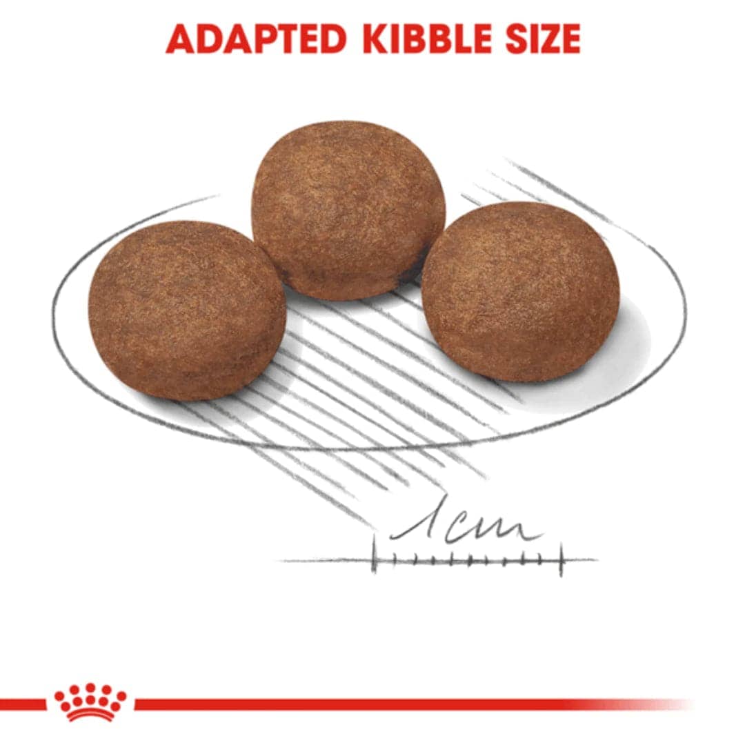 Royal Canin Medium Puppy Dry Food (Sample)