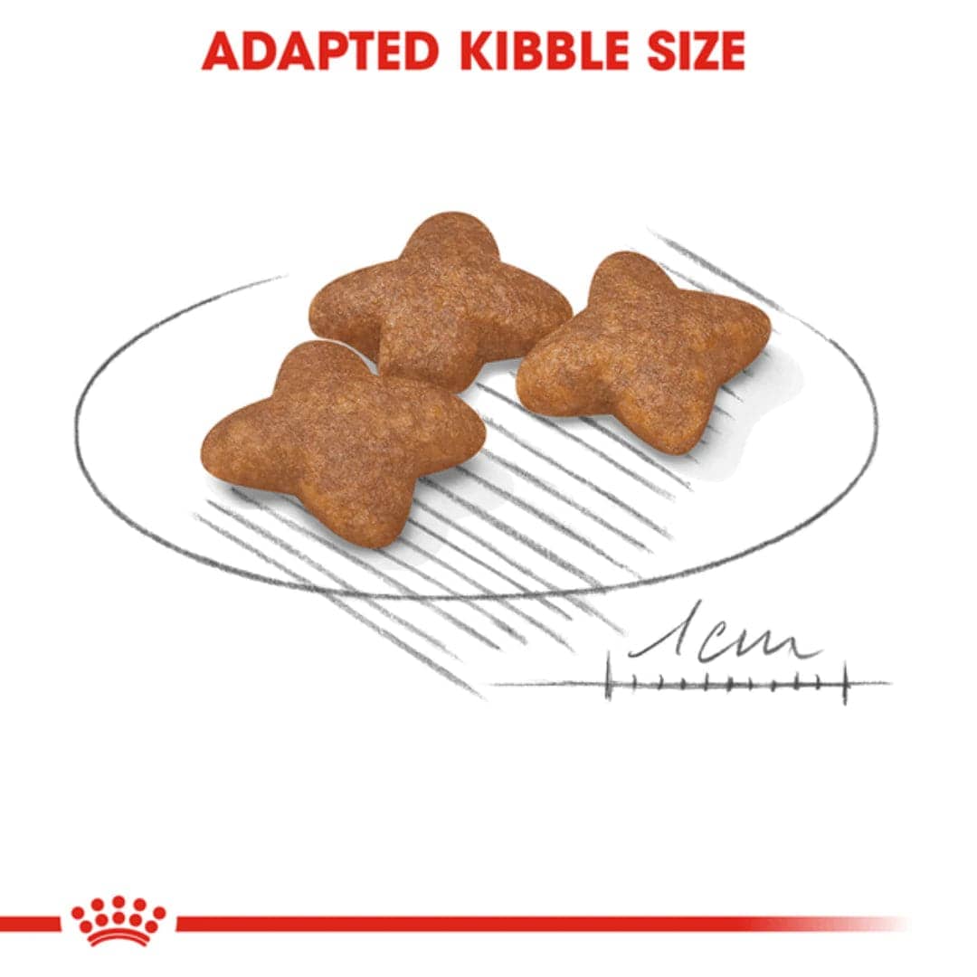 Royal Canin Mini Adult Dog Dry Food (Sample)