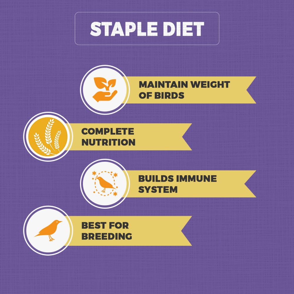 Petvit Bird Food for Budgies
