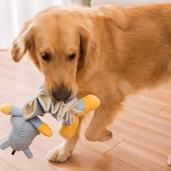 Pawsindia Enlarge the Hippo Toy for Dogs