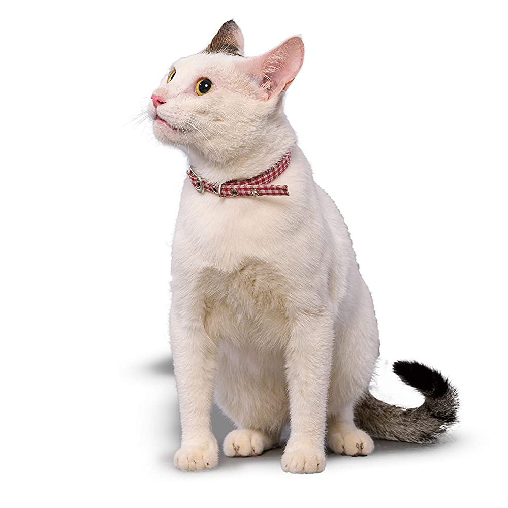 PetWale Collar for Cats (Red and White Checks)
