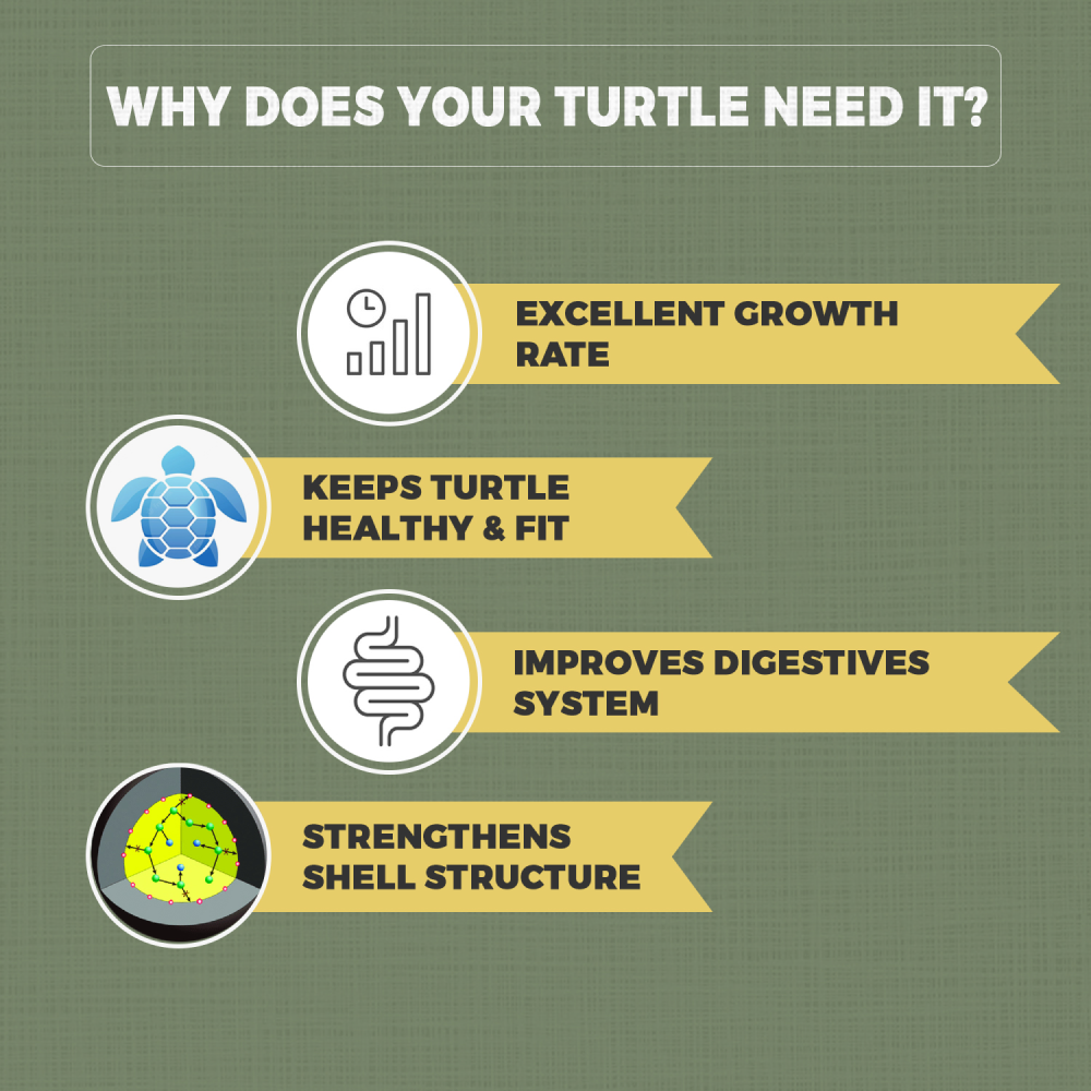 Petvit Turtle Food