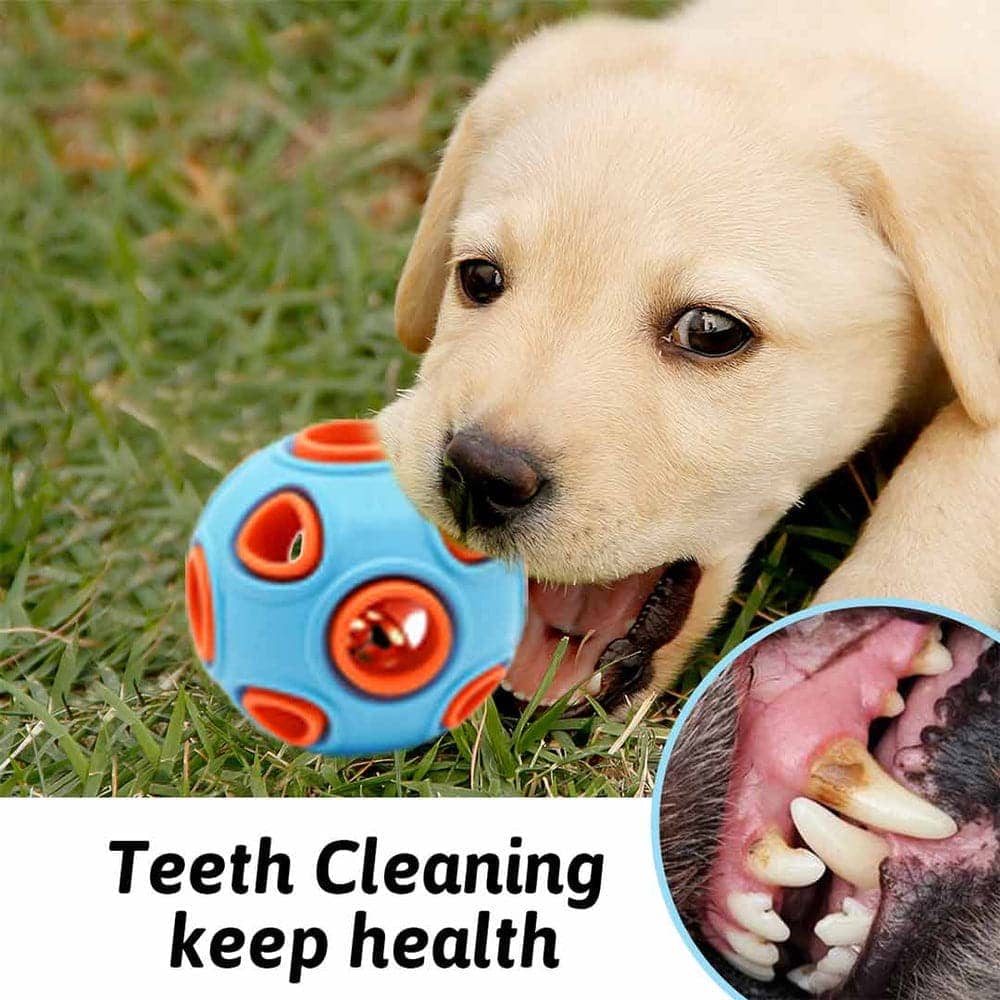 Pawsindia Hollow Sphere Ball Toy for Dogs