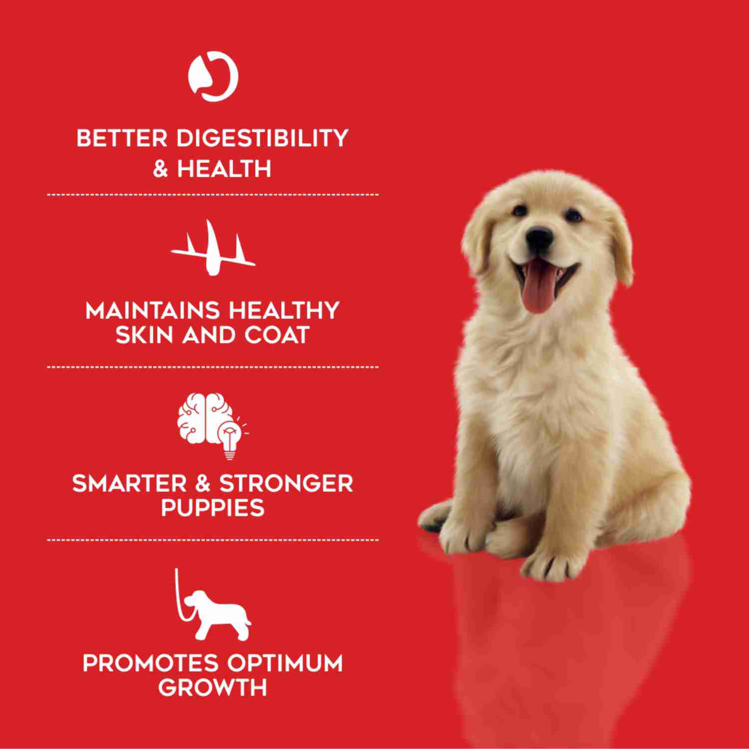 Drools Chicken Puppy Starter Dry Dog Food