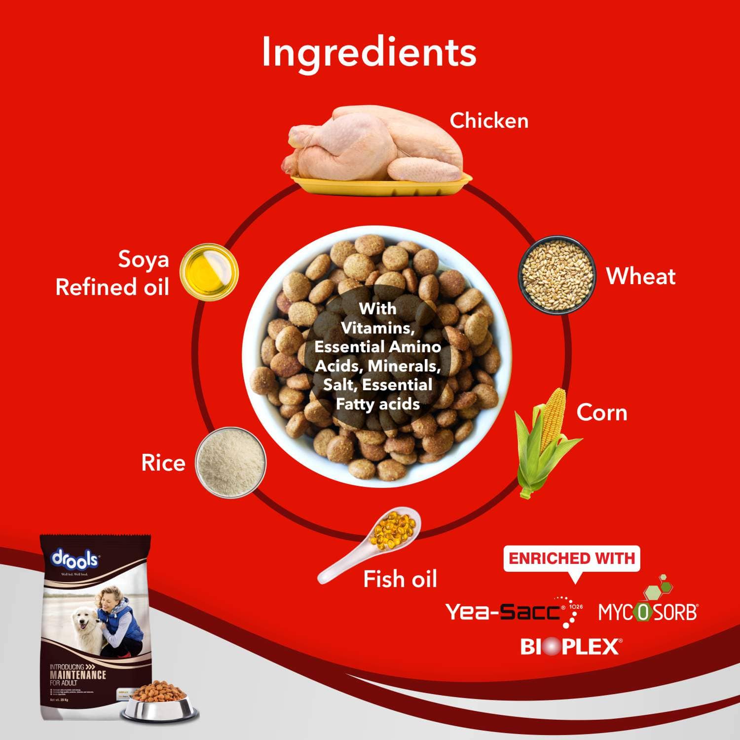 Drools Chicken Maintenance Adult Dog Dry Food