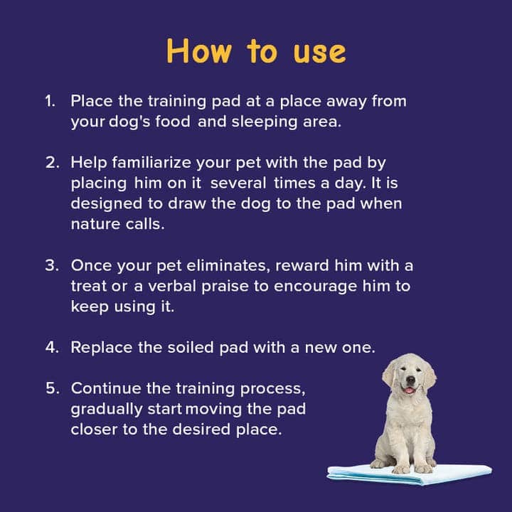 Pawsh Pet Training Pad