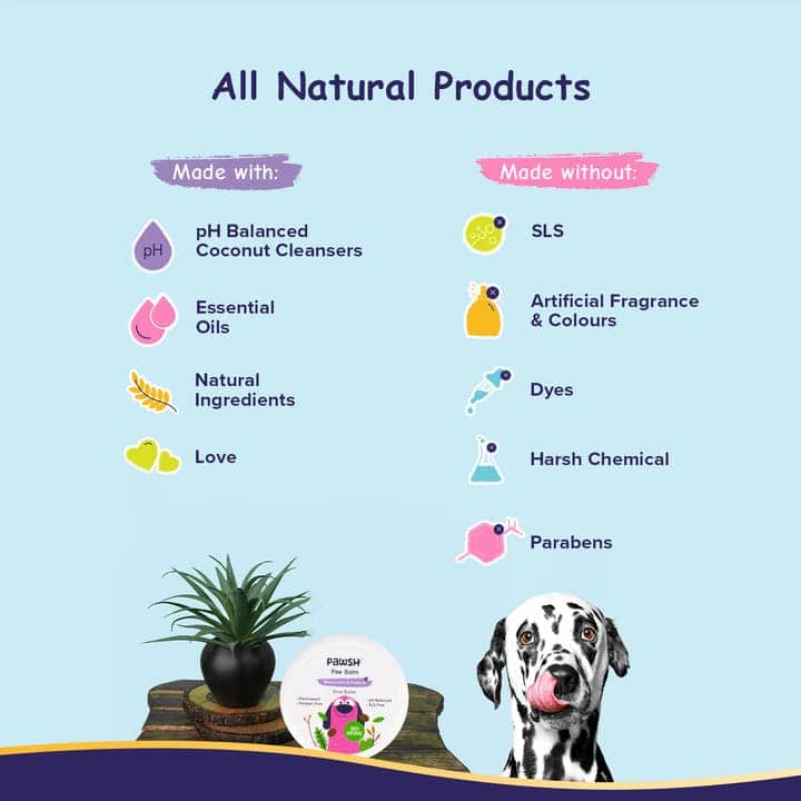Pawsh Paw Balm Shea Butter for Pets