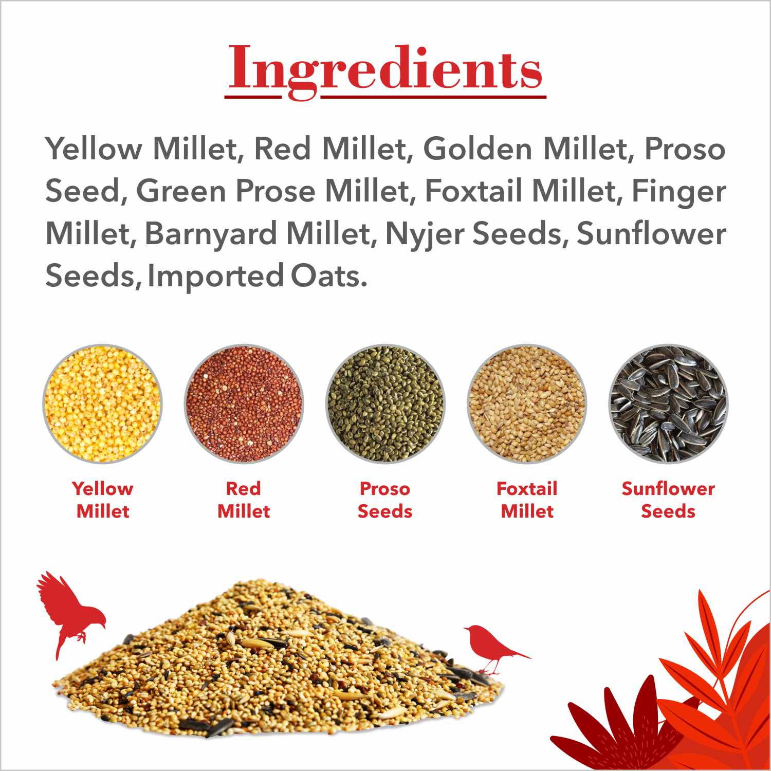 Drools Bird Food with Mixed Seeds for Budgies