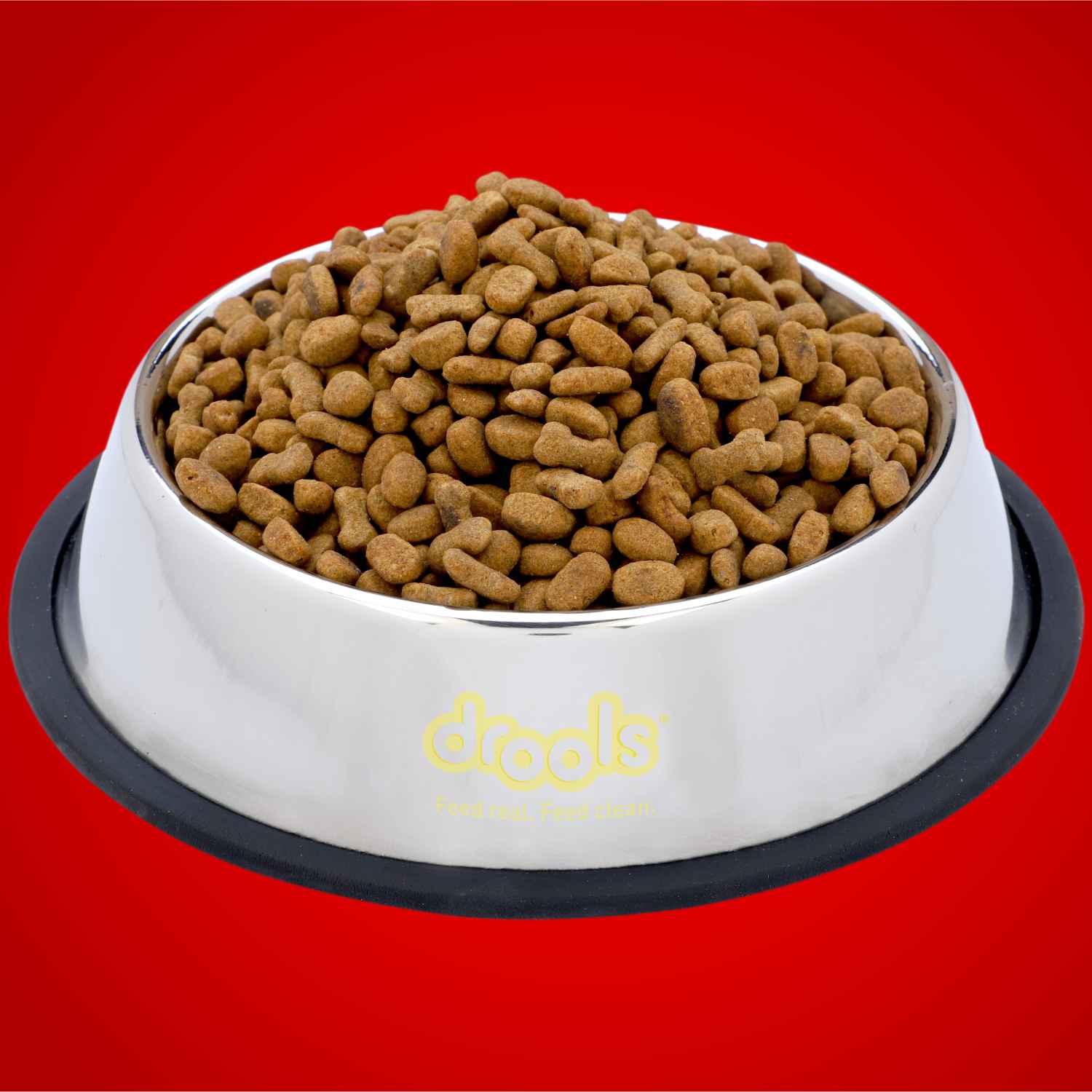 Drools Stainless Steel Dog Feeding Bowl
