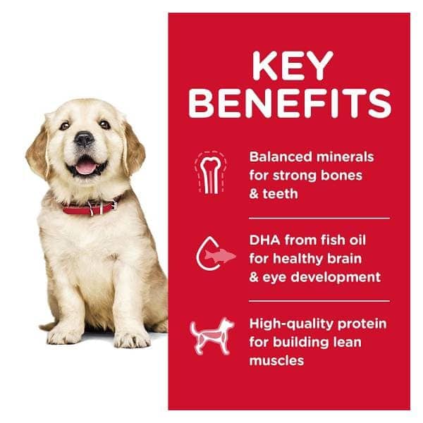 Hills Science Diet Chicken Puppy Large Breed Dry Food