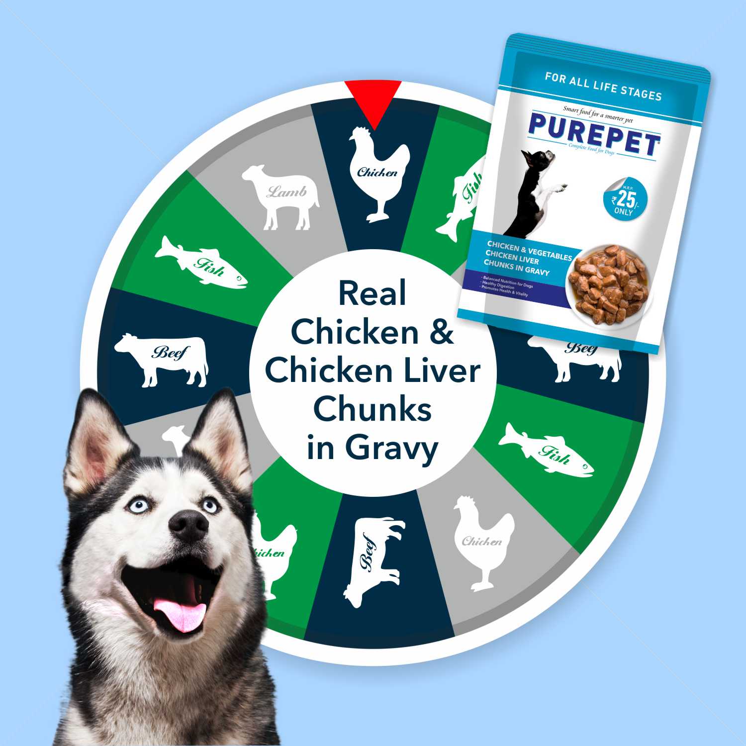 Purepet Chicken & Vegetable Chunks in Gravy Adult Wet Dog Food