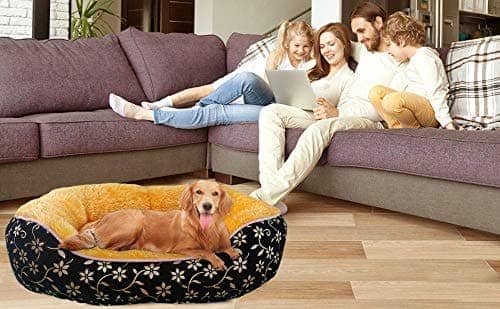 Hiputee Elegant Luxurious Durable Flock Velvet Faux Fur Bed for Pets (Black-Golden)