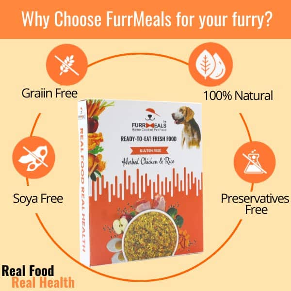 FurrMeals Herbed Chicken & Rice Ready-to-Eat Dog Wet Food (Medium Dogs)