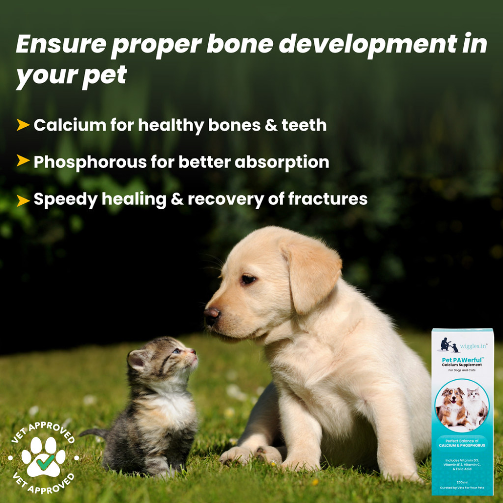 Wiggles Pet PAWerful Calcium Phosphorus Syrup Supplement for Pets