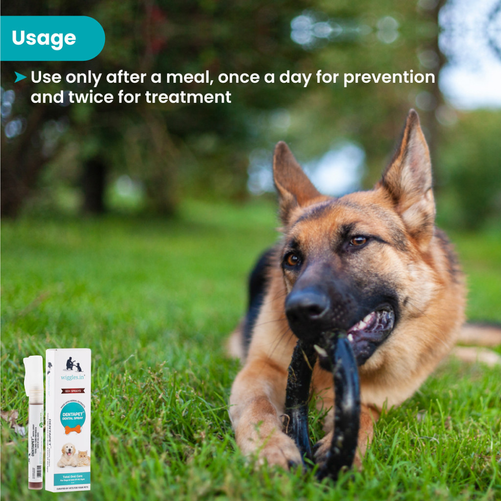 Wiggles DentaPet Mouth Freshner Spray for Pets