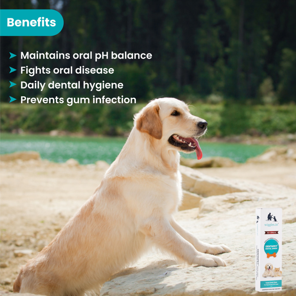 Wiggles DentaPet Mouth Freshner Spray for Pets
