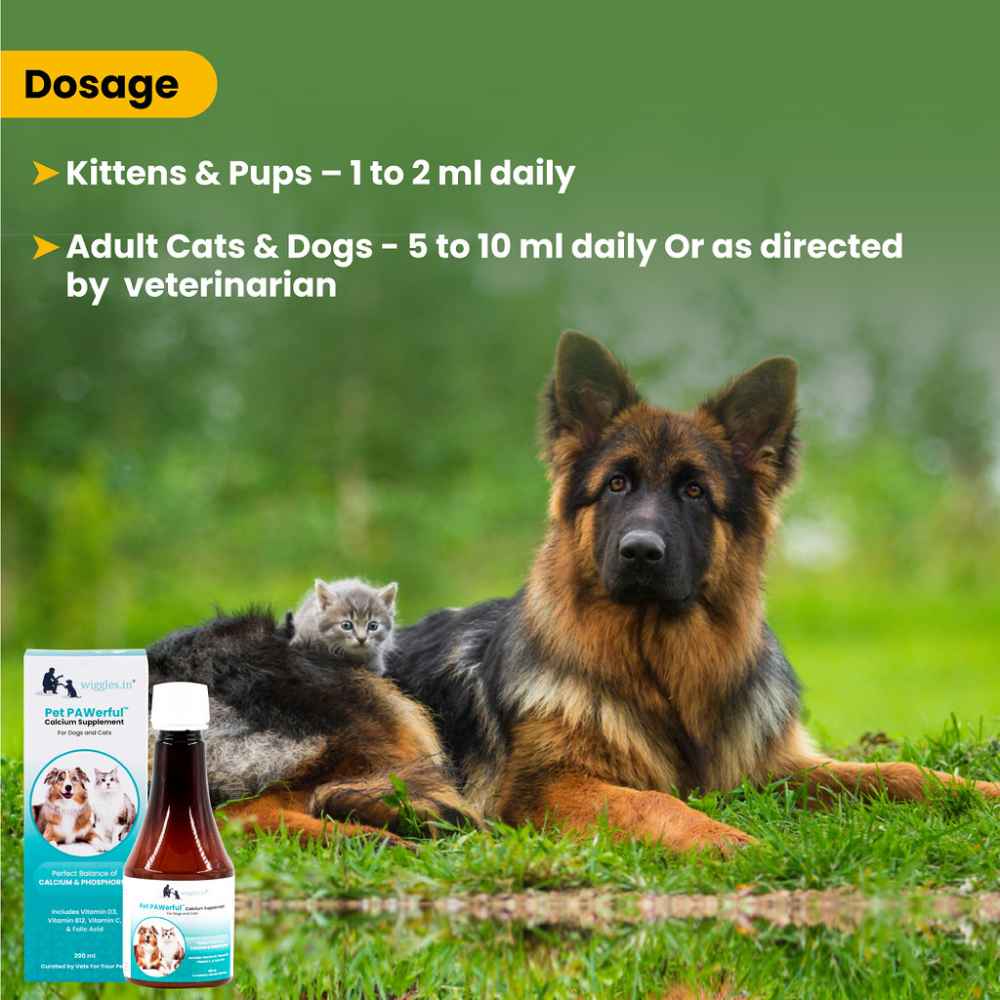 Wiggles Pet PAWerful Calcium Phosphorus Syrup Supplement for Pets