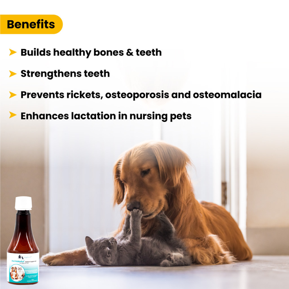 Wiggles Pet PAWerful Calcium Phosphorus Syrup Supplement for Pets