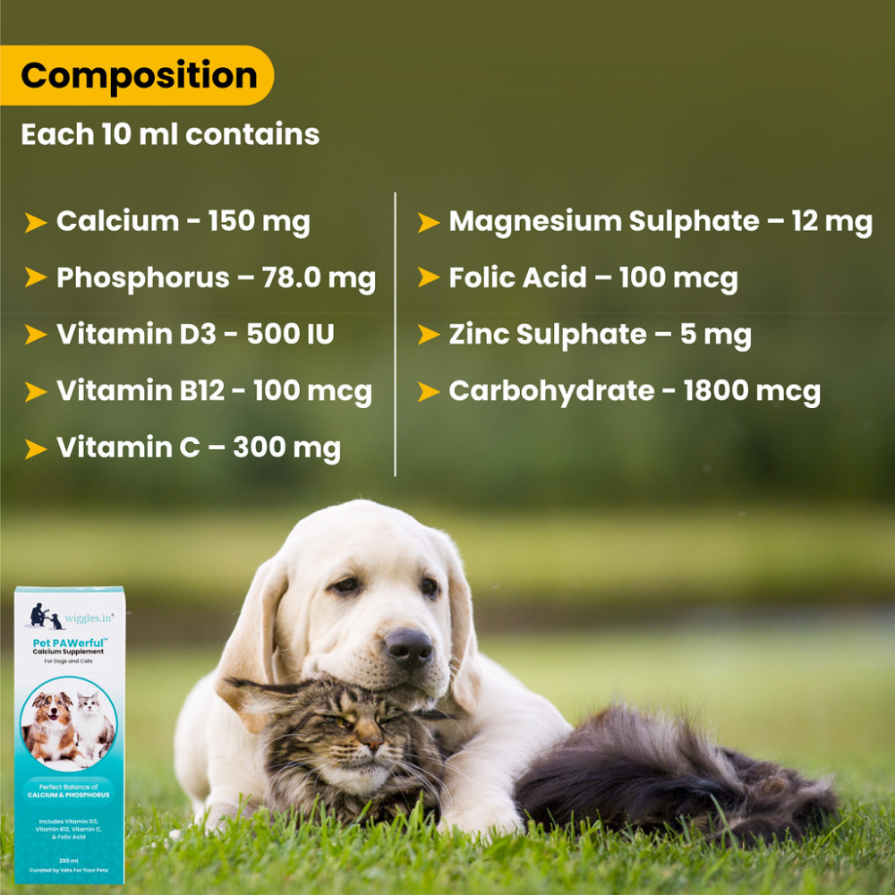 Wiggles Pet PAWerful Calcium Phosphorus Syrup Supplement for Pets