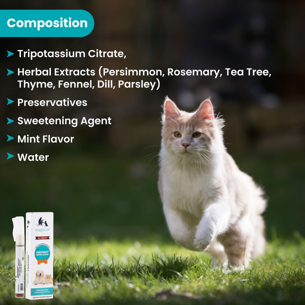 Wiggles DentaPet Mouth Freshner Spray for Pets