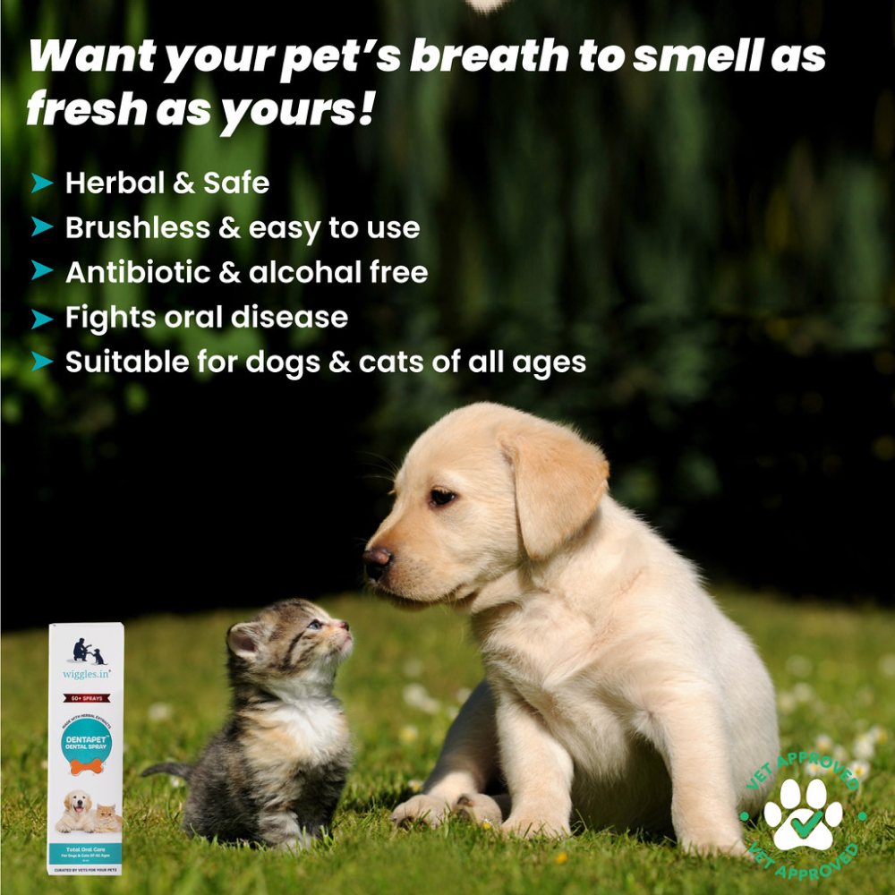 Wiggles DentaPet Mouth Freshner Spray for Pets