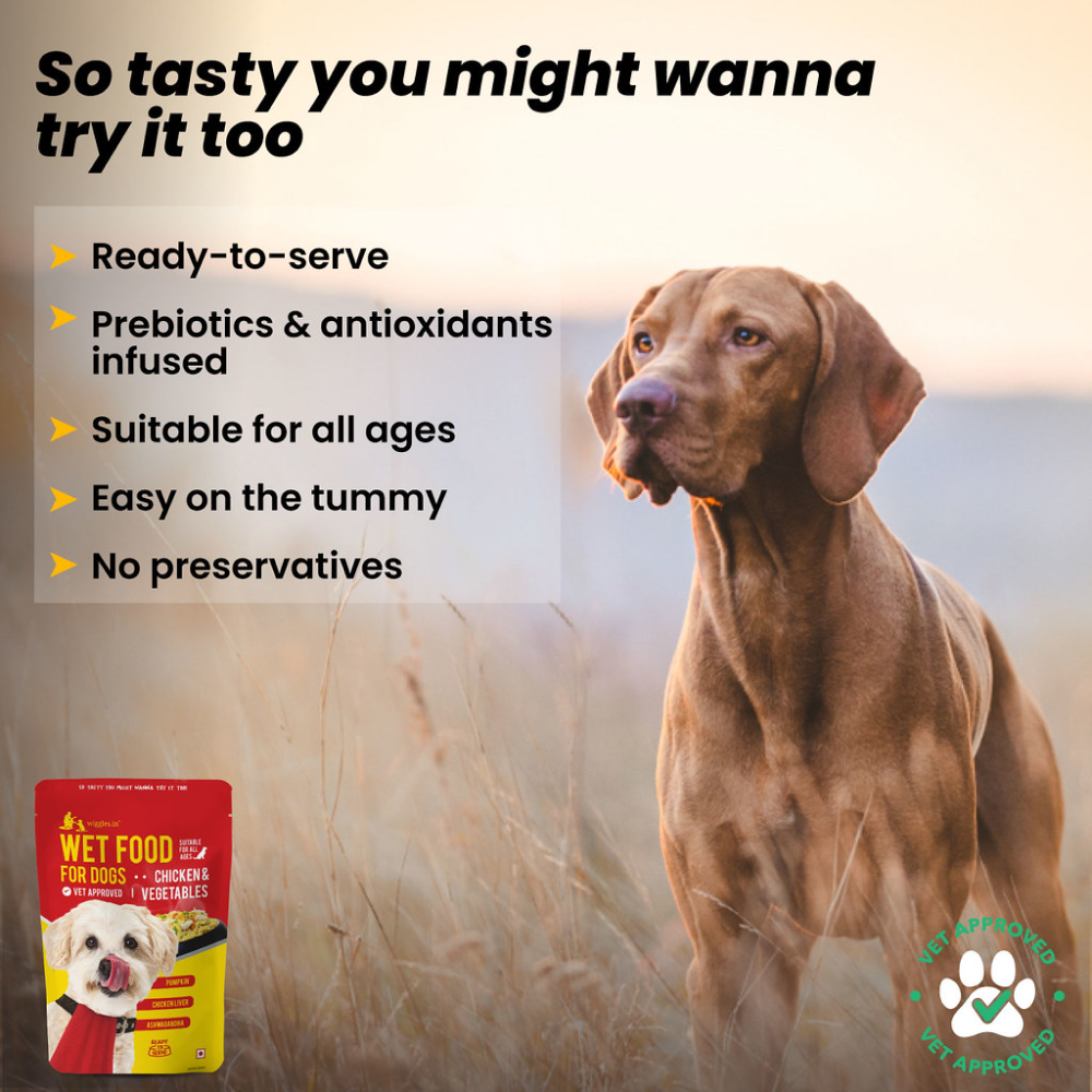 Wiggles Chicken & Vegetable Dog Wet Food