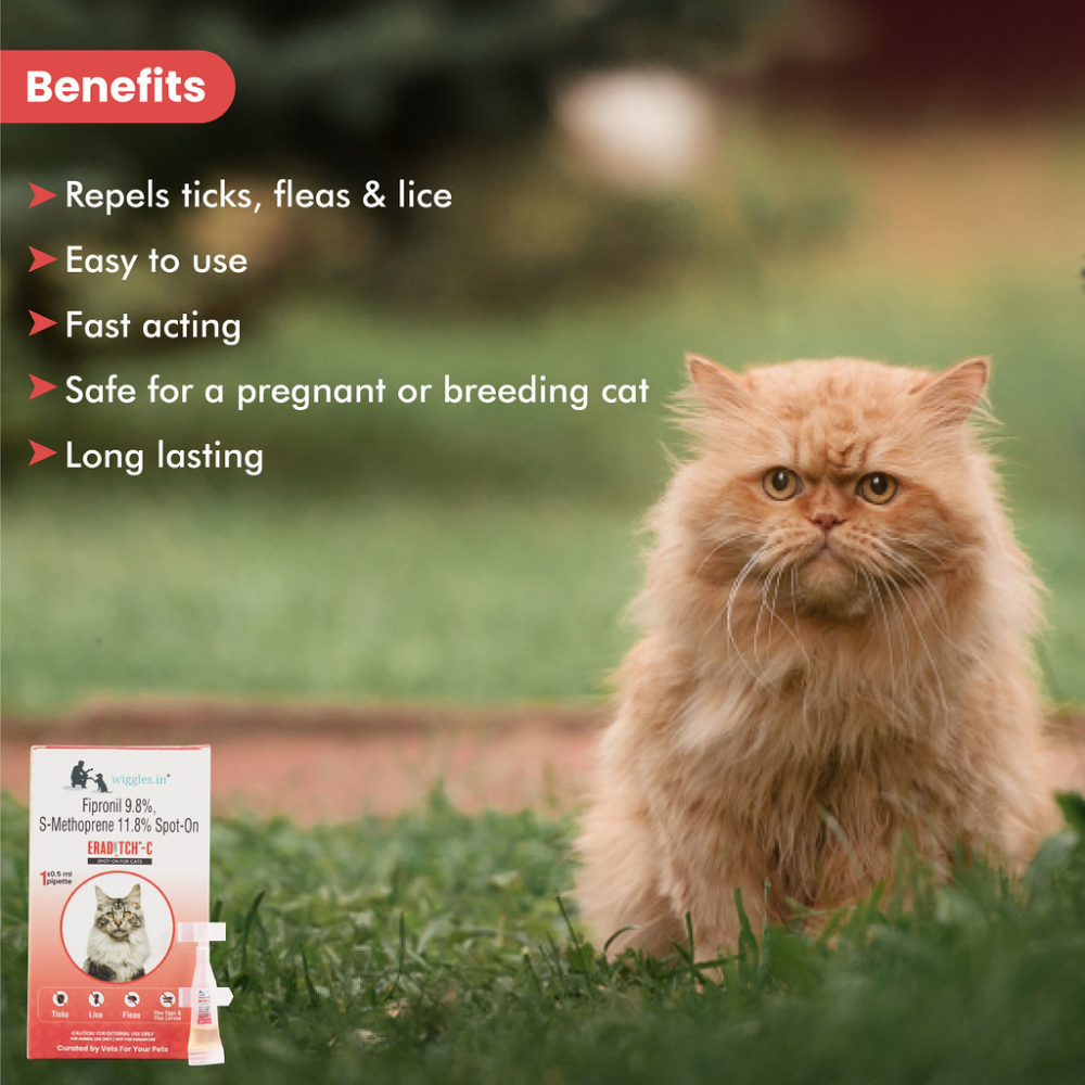 Wiggles Eraditch Spot on Fleas Ticks Remover for Cats