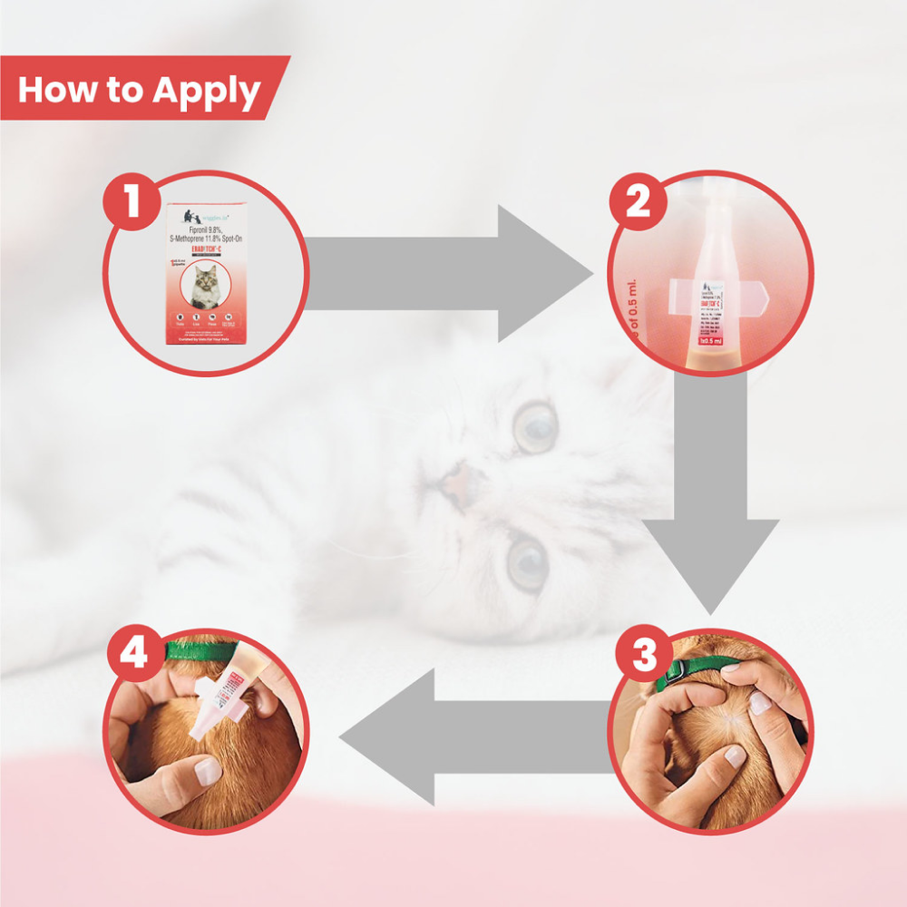 Wiggles Eraditch Spot on Fleas Ticks Remover for Cats