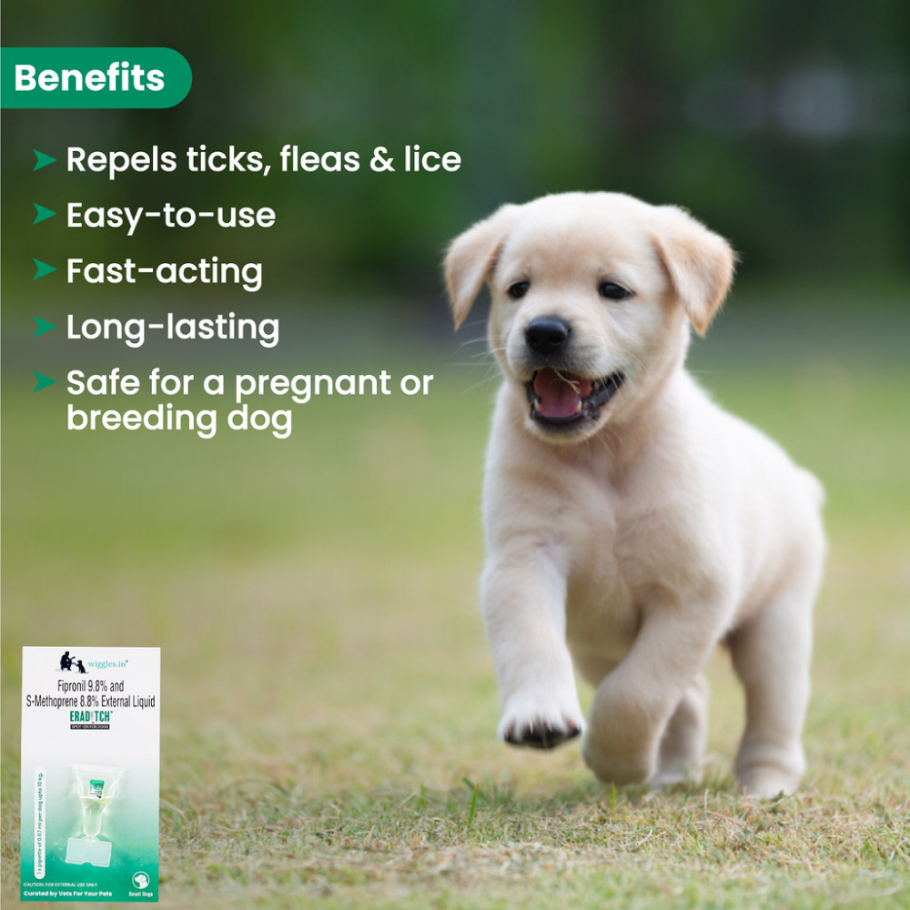 Wiggles Eraditch Spot on Fleas Ticks Remover for Dogs