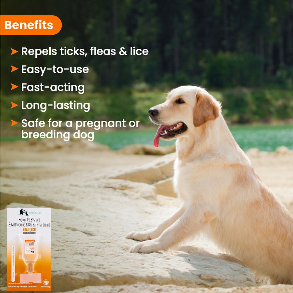 Wiggles Eraditch Spot on Fleas Ticks Remover for Dogs