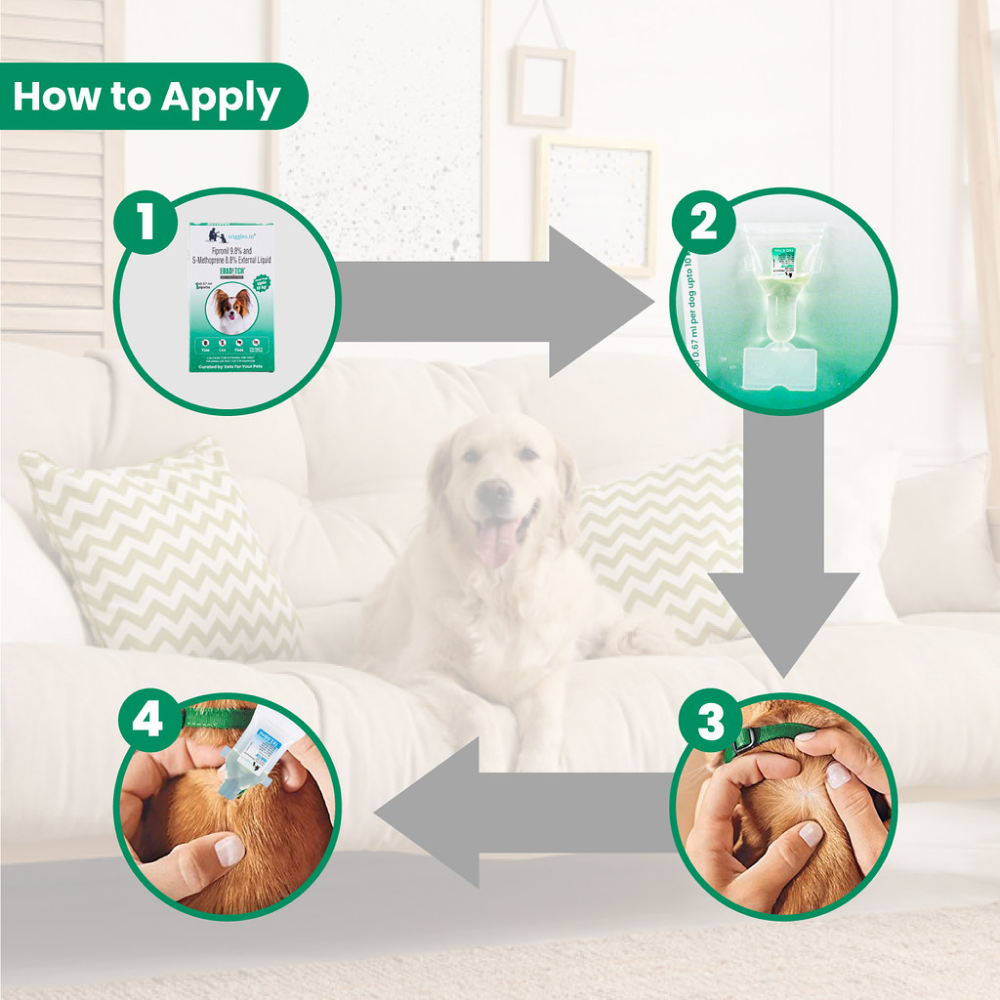 Wiggles Eraditch Spot on Fleas Ticks Remover for Dogs
