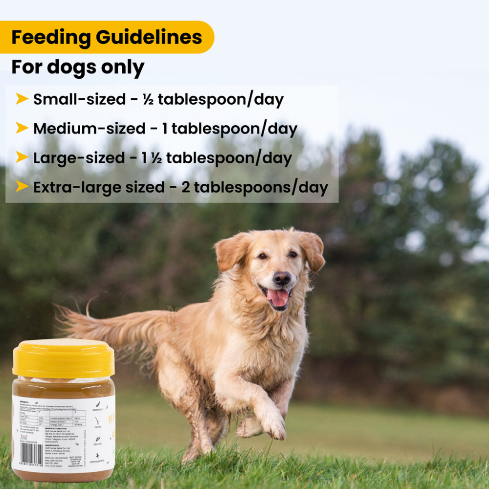 Wiggles Peanut Butter for Dogs
