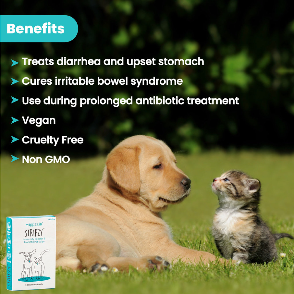 Wiggles Stripzy Immunity Booster Probiotics for Pets