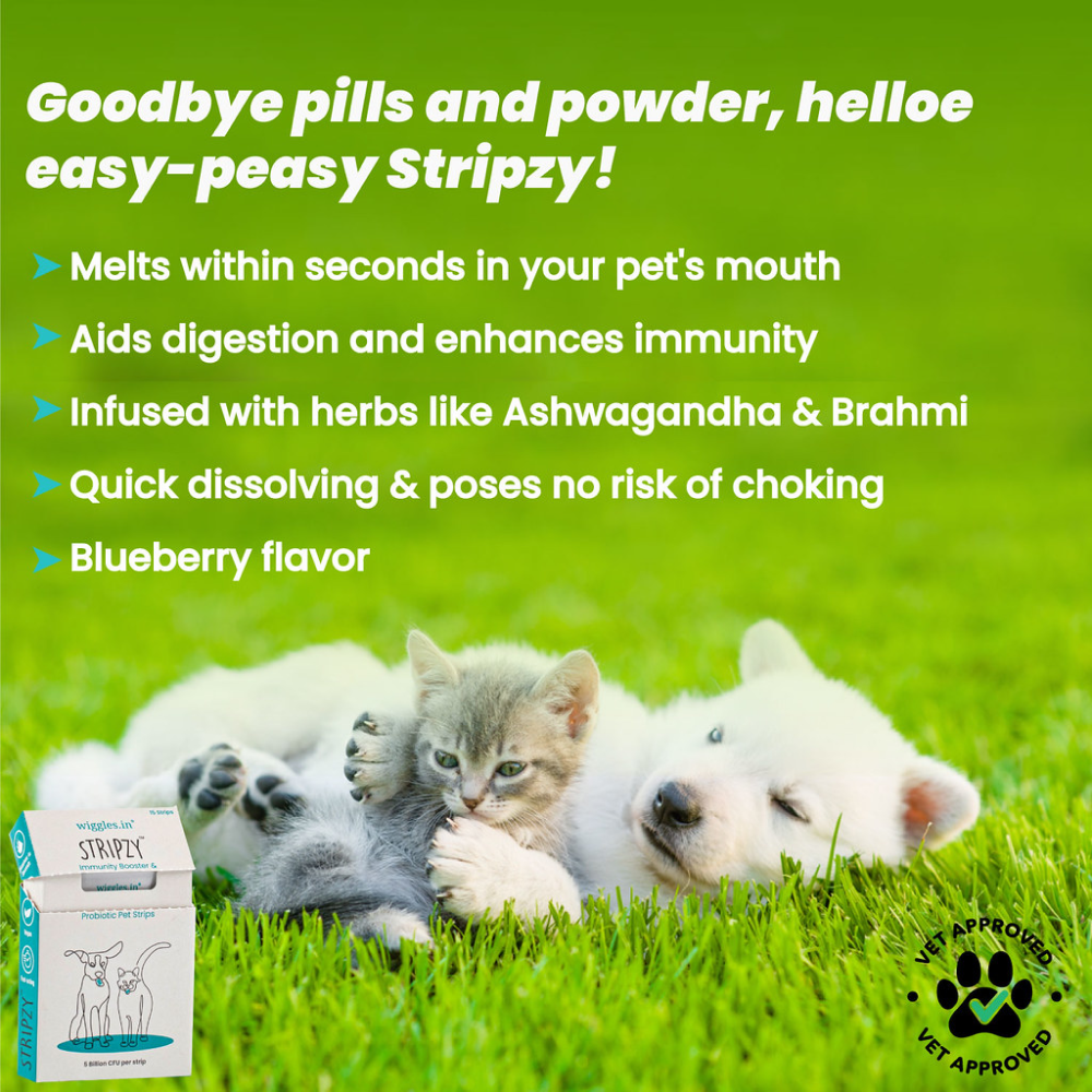 Wiggles Stripzy Immunity Booster Probiotics for Pets