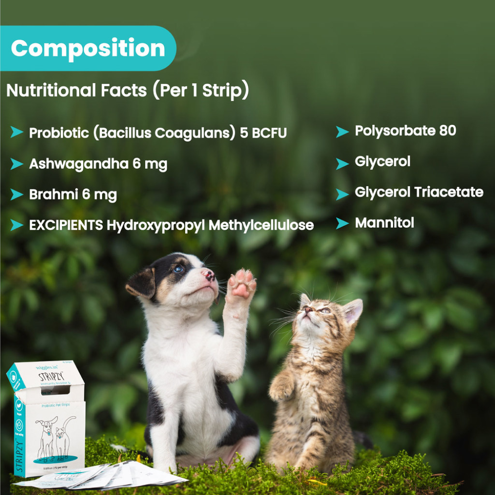Wiggles Stripzy Immunity Booster Probiotics for Pets