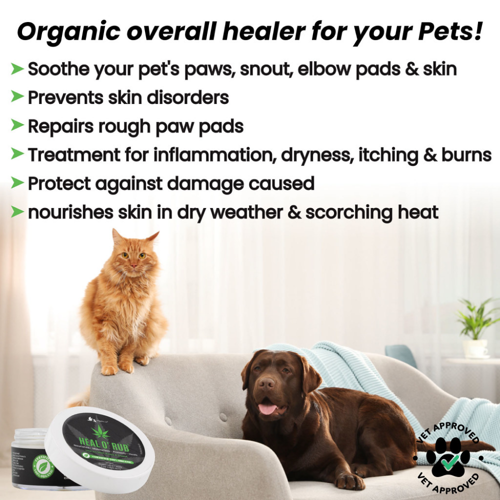 Wiggles Heal O&