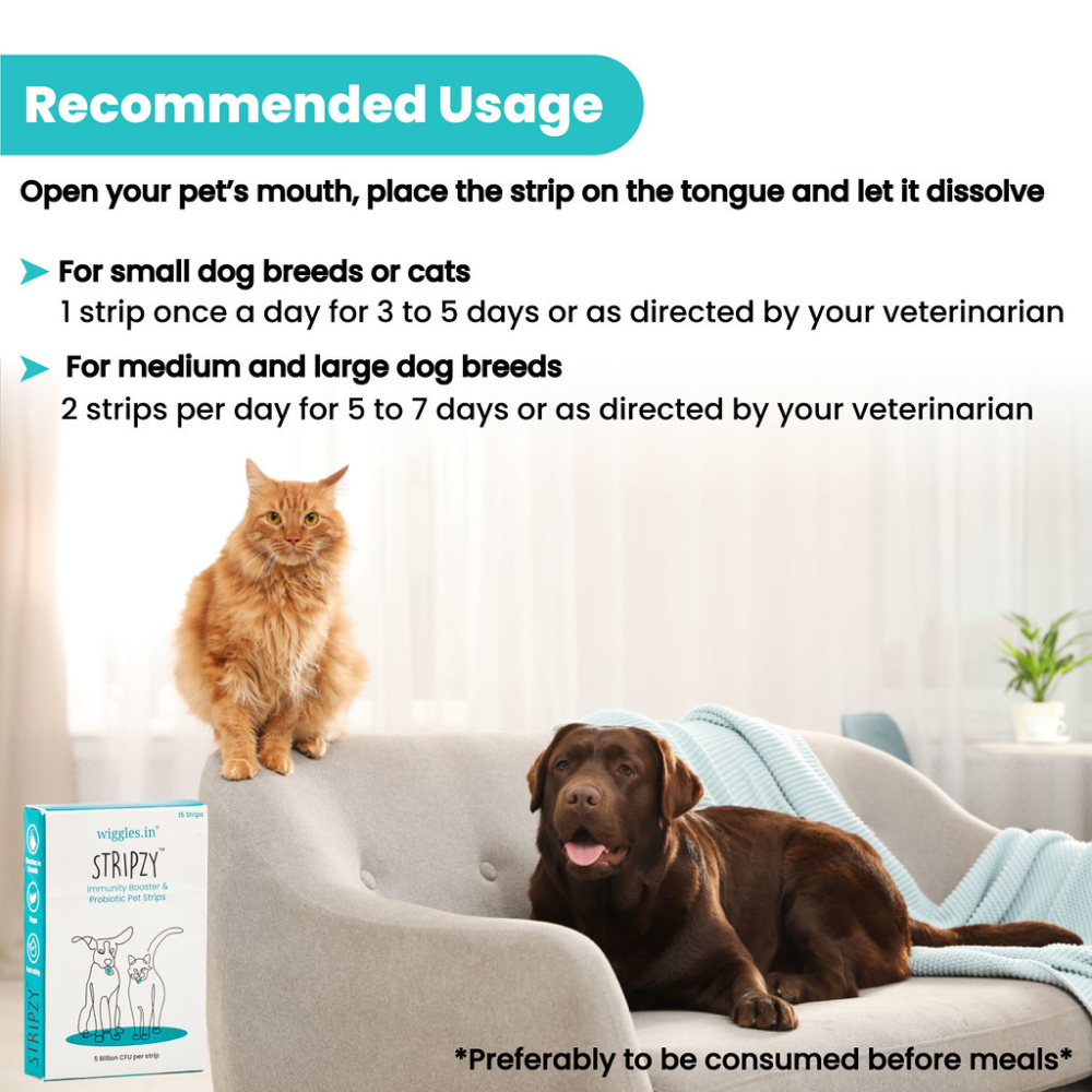 Wiggles Stripzy Immunity Booster Probiotics for Pets