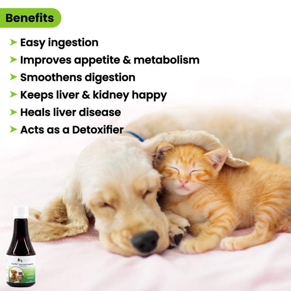 Wiggles Furliv Liver Tonic Appetite Booster for Pets
