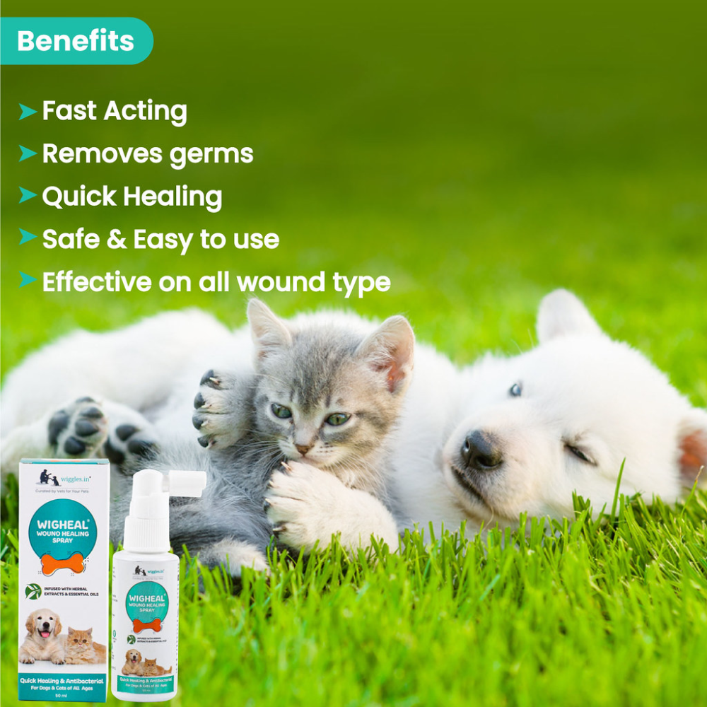 Wiggles Wigheal Wound Healing Care Spray for Pets