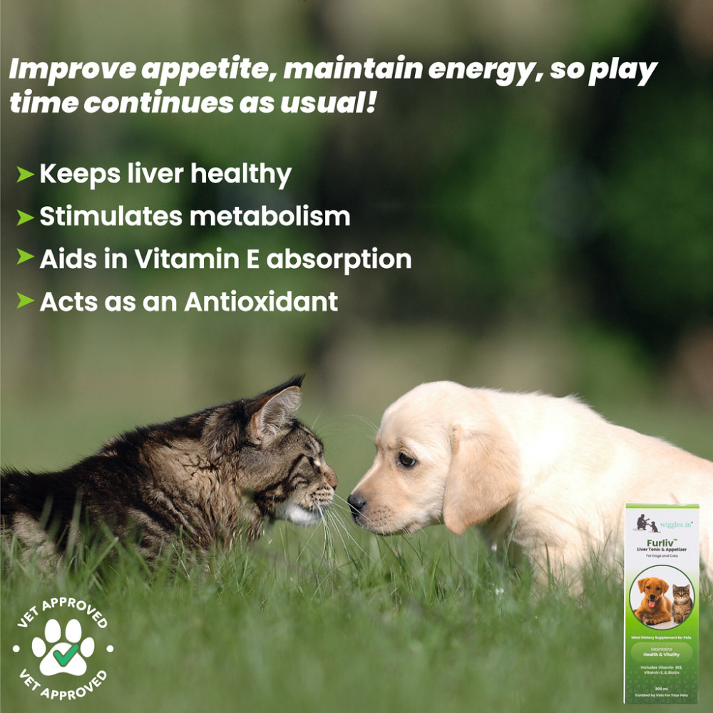 Wiggles Furliv Liver Tonic Appetite Booster for Pets