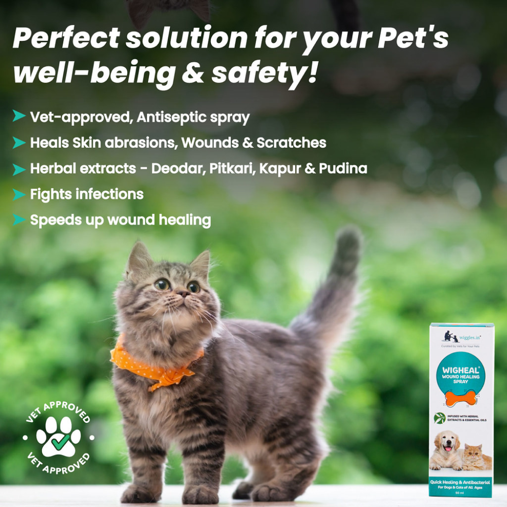 Wiggles Wigheal Wound Healing Care Spray for Pets