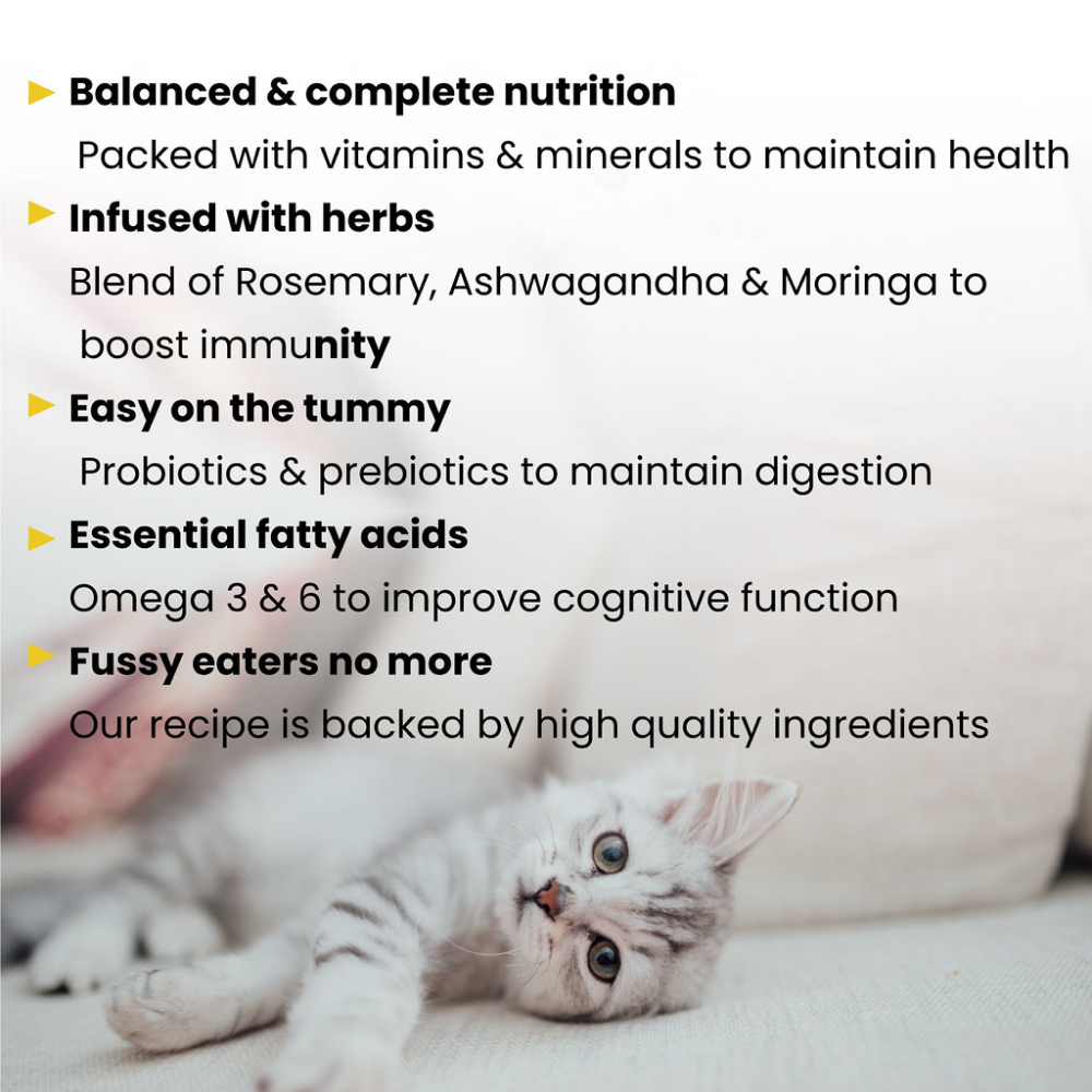 Wiggles Kittibles Chicken & Tuna Kitten Dry Food