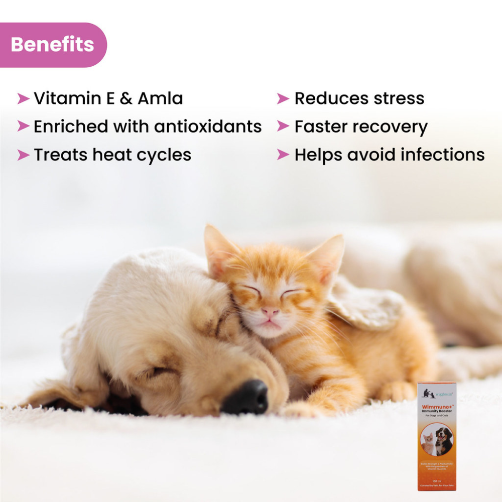 Wiggles Wimmuno+ Immunity Booster Probiotics Syrup Supplement for Pets